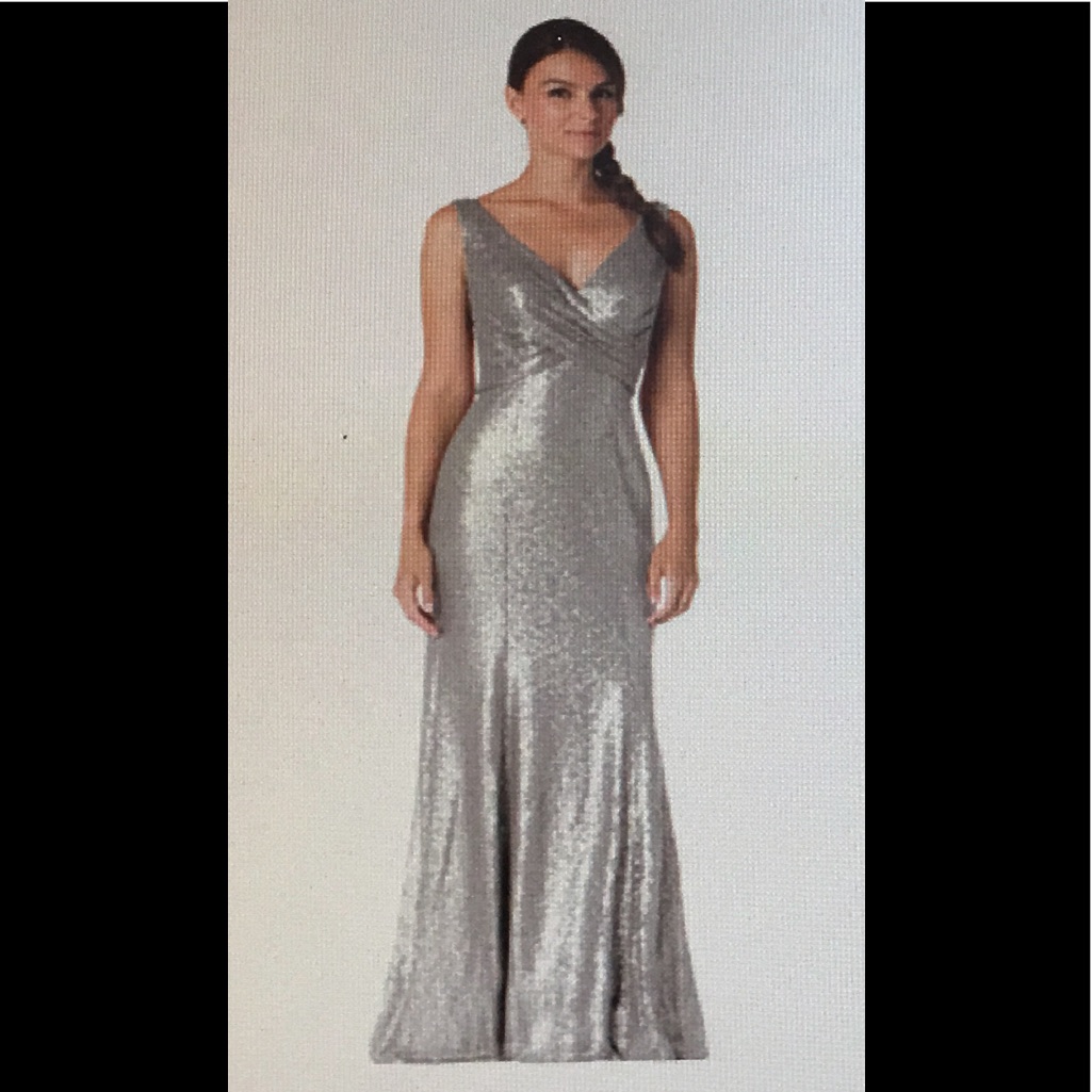 Nwt Bari Jay Silver Sequin Bridesmaids Gown Sz 6